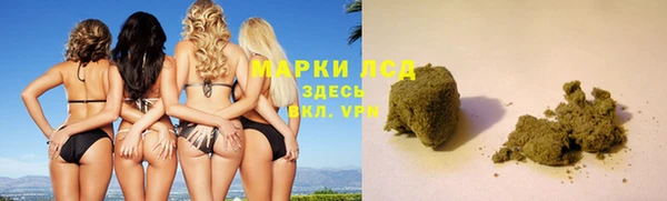 стаф Алексин
