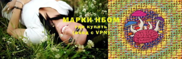 стаф Алексин