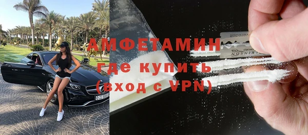 гидра Рославль