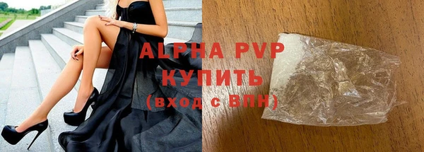 стаф Алексин