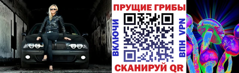 Псилоцибиновые грибы мицелий Харовск
